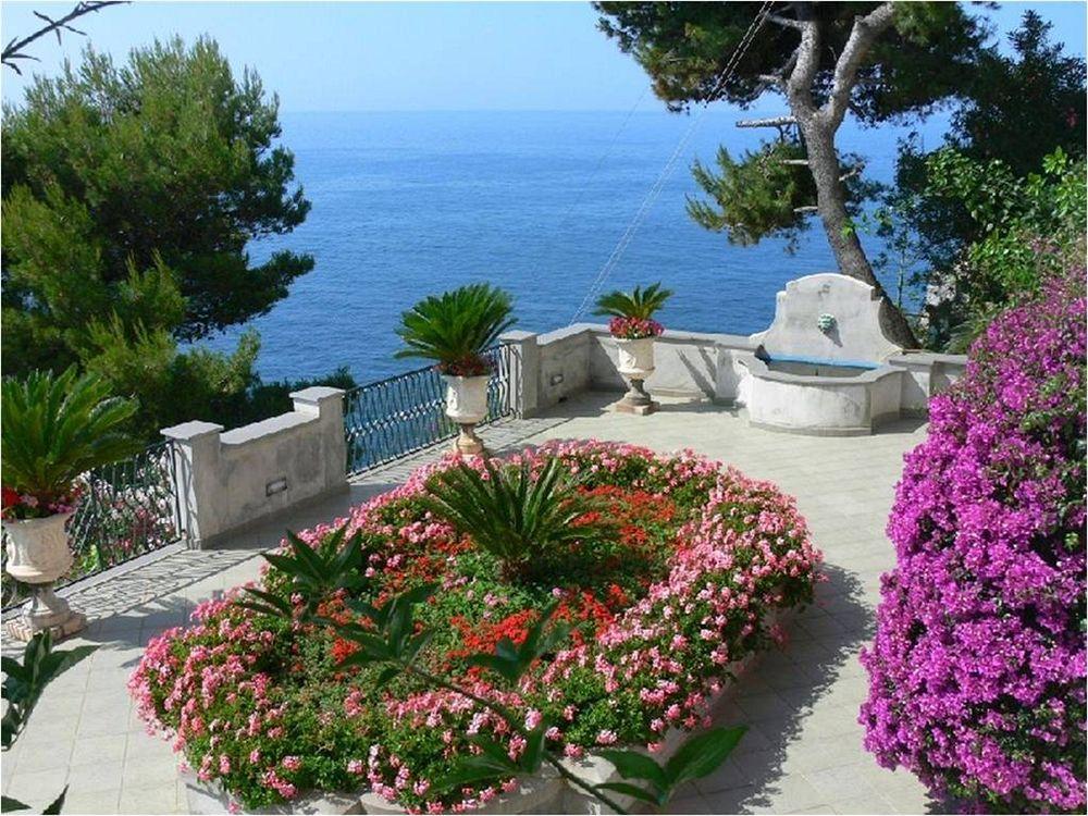 Belvedere 4*